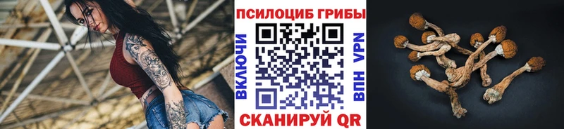 купить закладку  Керчь  Галлюциногенные грибы Magic Shrooms 